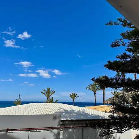 Acogedor Playa 公寓 阿尔比尔